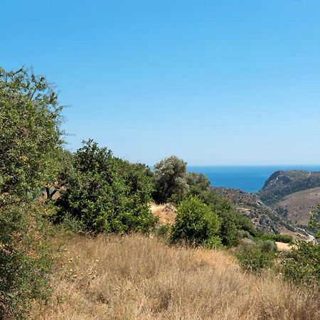 Villa Talos Παλαιοχώρα Εξωτερικό φωτογραφία