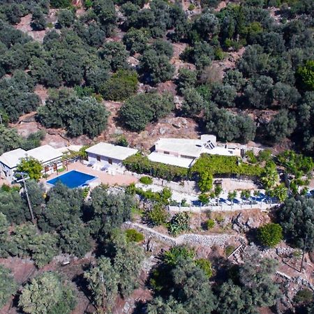 Villa Talos Παλαιοχώρα Εξωτερικό φωτογραφία