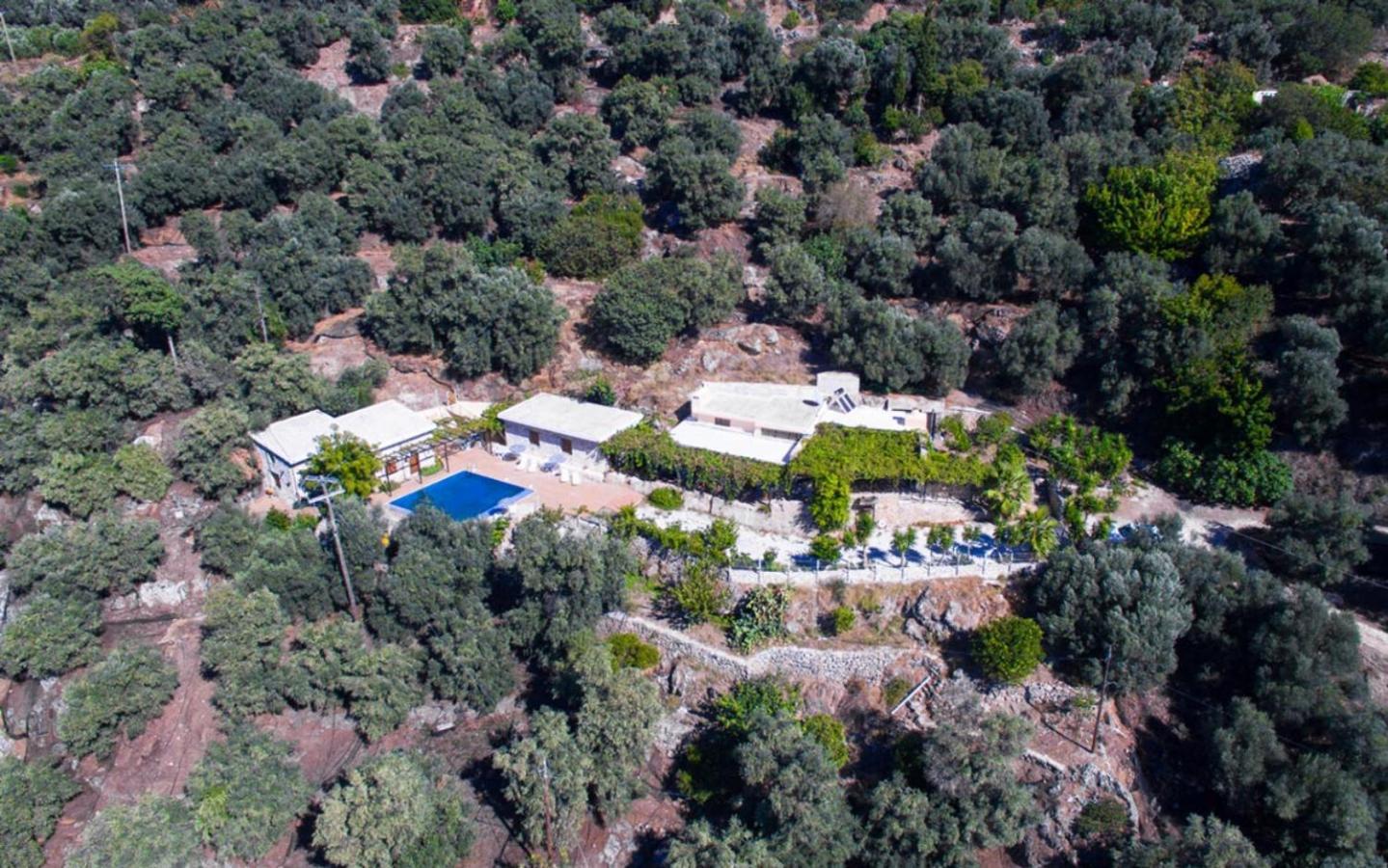 Villa Talos Παλαιοχώρα Εξωτερικό φωτογραφία